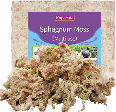 Musgo Sphagnum 34QT para Orquídeas 10oz