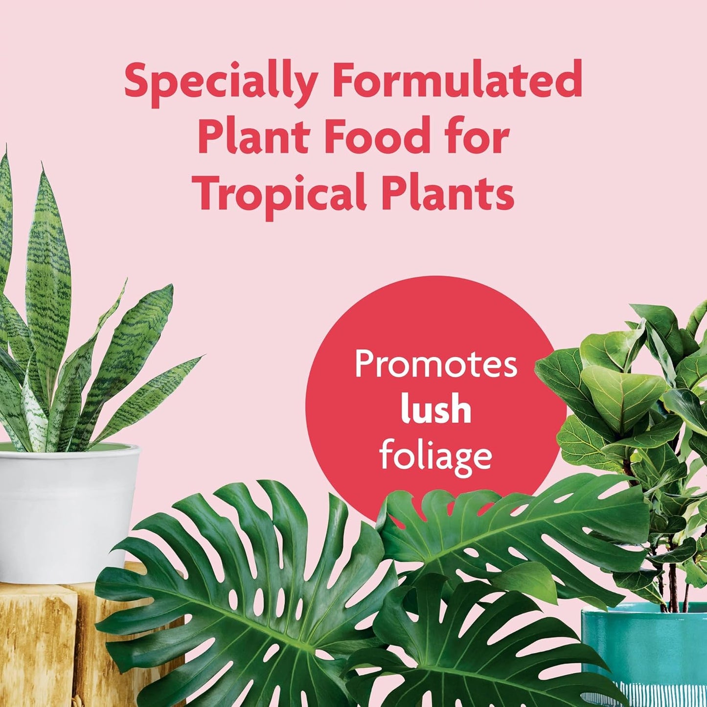 Fertilizante líquido para plantas tropicales 8oz