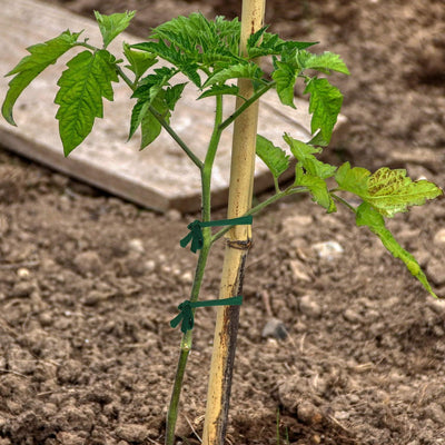 Cordel jardín verde 98ft lazo suave para plantas