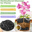 2qt Carbón Hortícola Natural para Plantas Terrarios Macetas