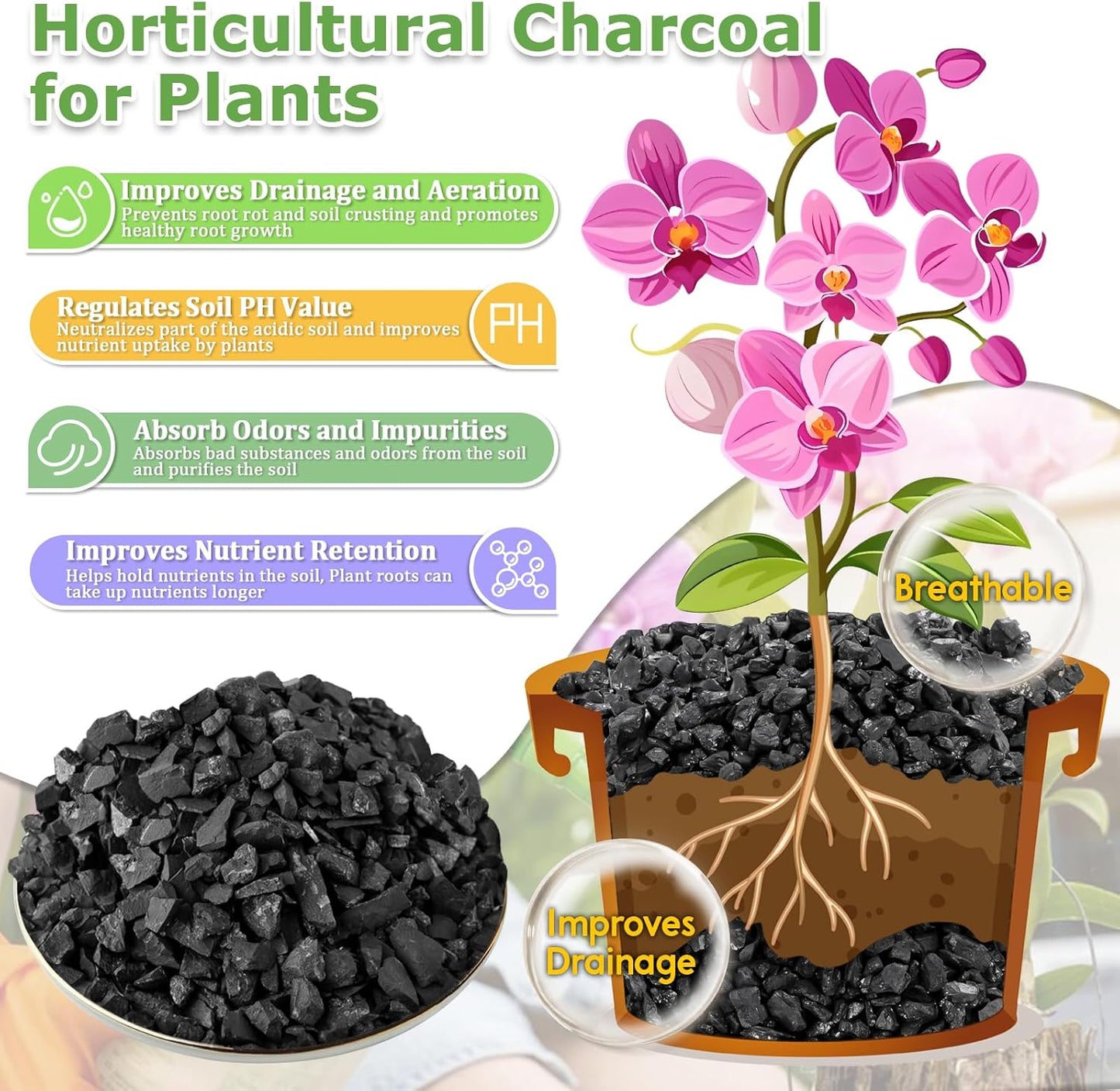 2qt Carbón Hortícola Natural para Plantas Terrarios Macetas