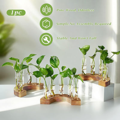 Soporte propagación plantas madera jarrón terrario regalo mujer