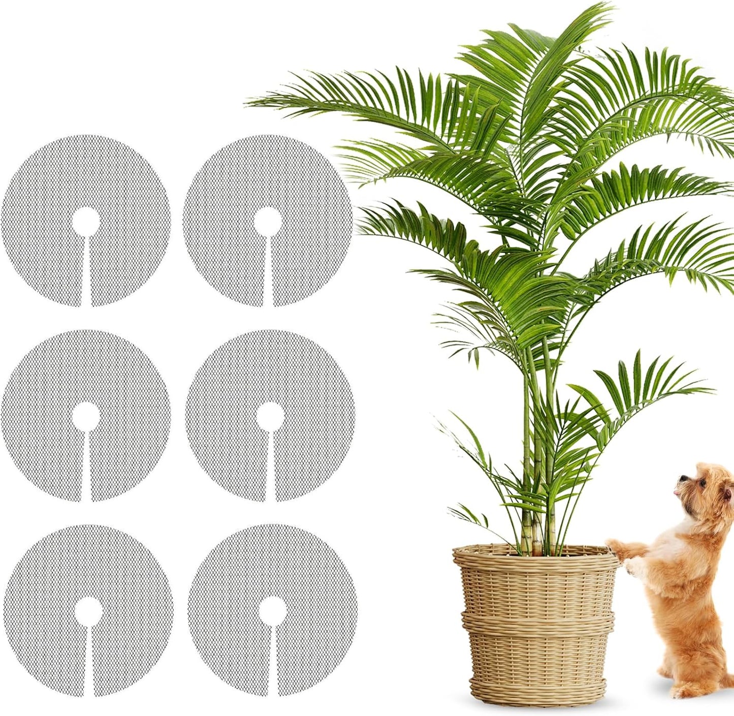6 Cubiertas Macetas 11.8pulg Protege Plantas Perros
