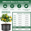 Bolsas cultivo tela con asas 20gal set 5