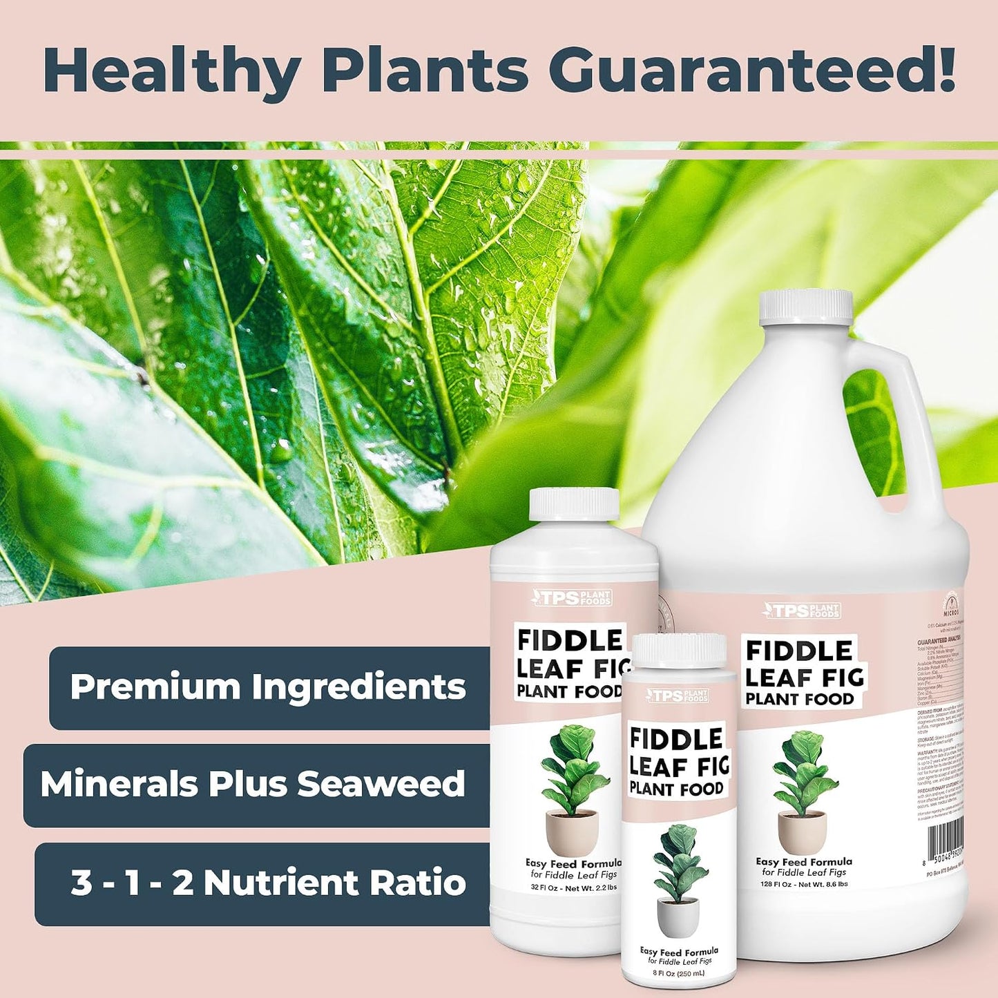 Alimento vegetal líquido para Fiddle Leaf Fig 8oz