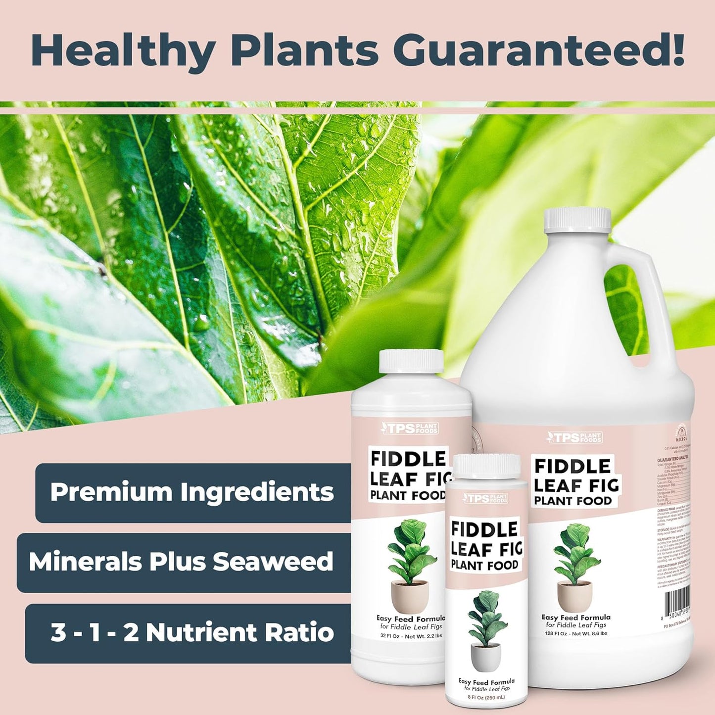 Alimento vegetal líquido para Fiddle Leaf Fig 32oz