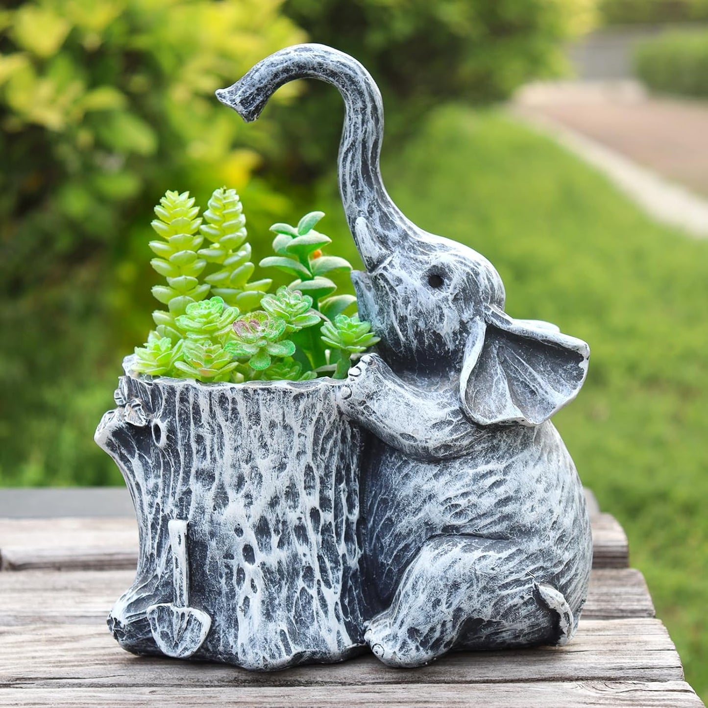 Macetas para suculentas regalo para mujer jardinero