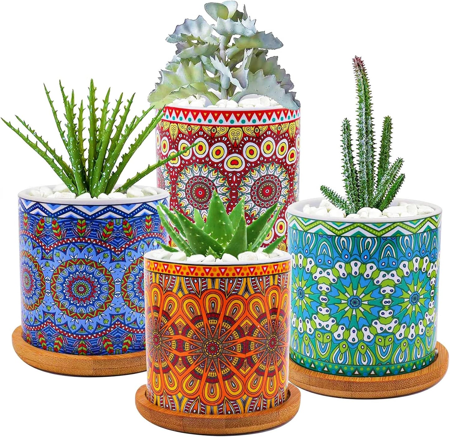 4 Macetas Cilíndricas Bambú con Drenaje para Cactus y Hogar