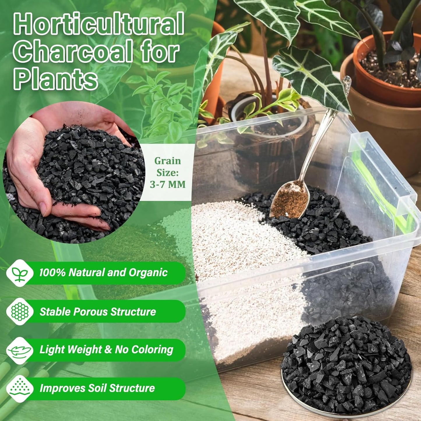 Carbón vegetal activado 4qt para bonsái y suculentas