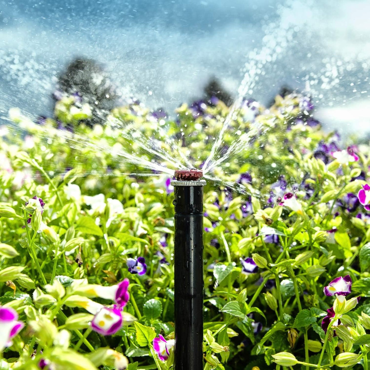 Boquilla aspersor ajustable 90-210° radio 2,4-4,5m jardín
