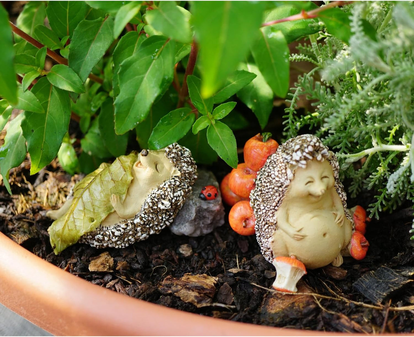Coma miniatura para jardín hadas y terrario manzanas