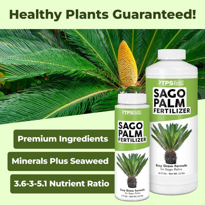 Fertilizante palma sagú alimento vegetal líquido 8oz