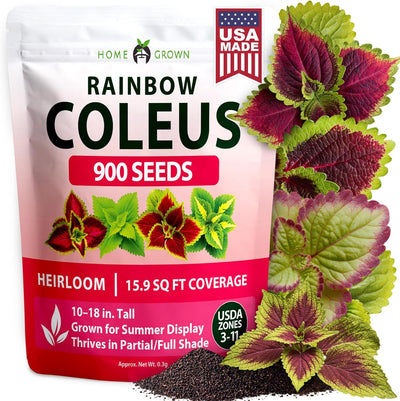 Semillas Coleus Rainbow 900uds para jardín interior y exterior