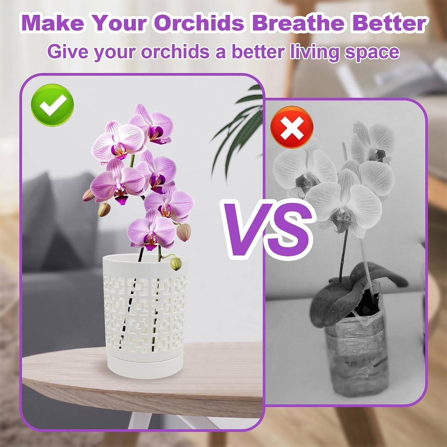 Macetas orquídeas cerámica 4pulg drenaje platillo