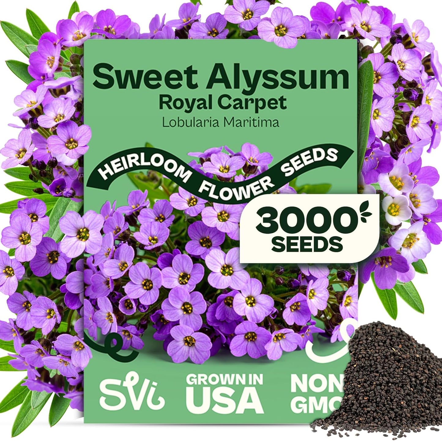 3000 Semillas Alyssum Morado Cobertura Suelo