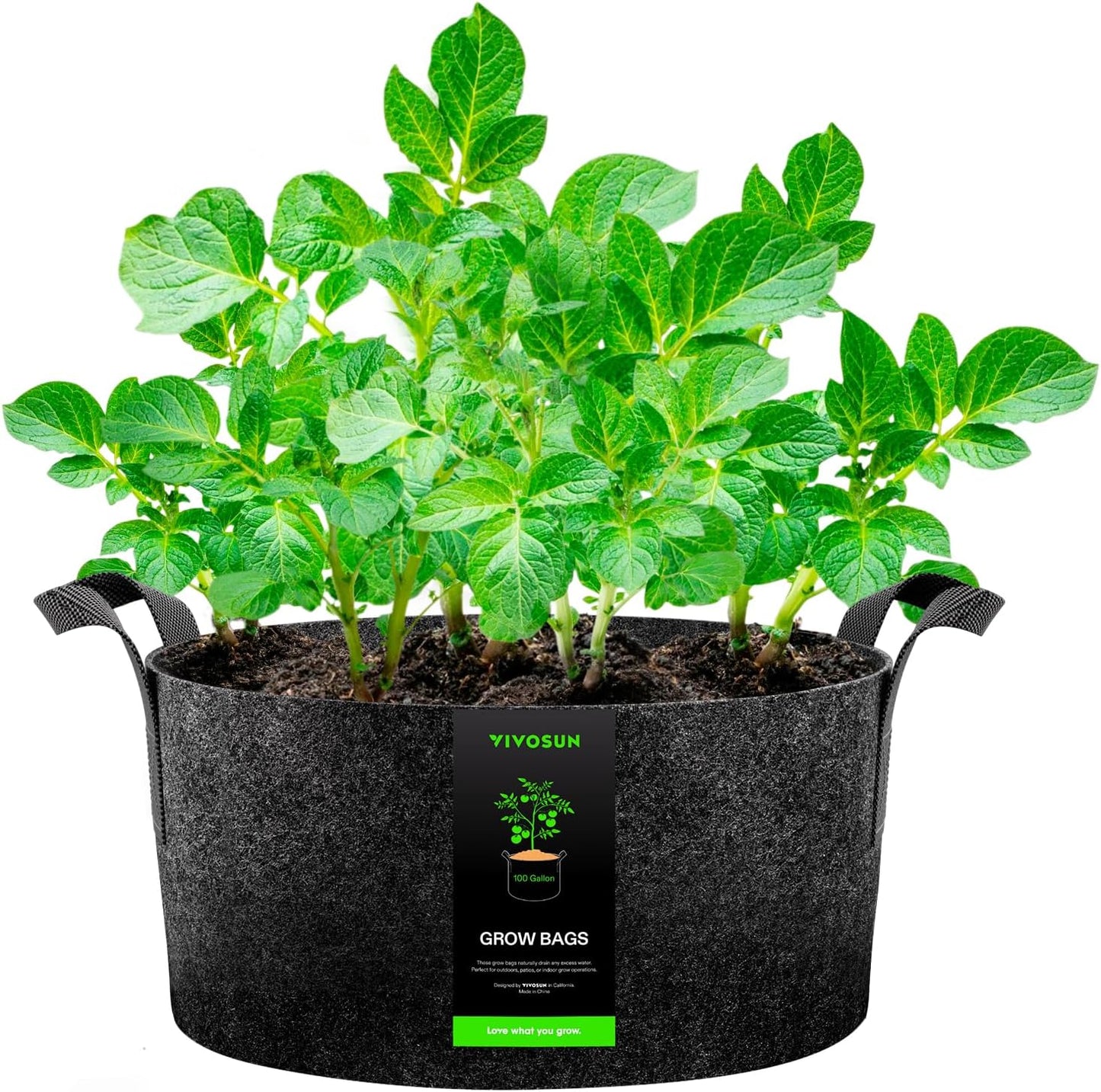 Bolsa cultivo 100gal maceta tela con asas