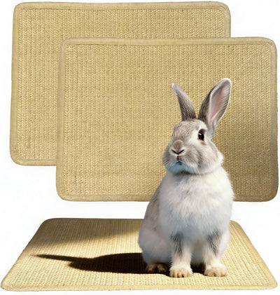 2 Pzas Almohadillas Rascadoras Conejo Sisal Antideslizante 16x12
