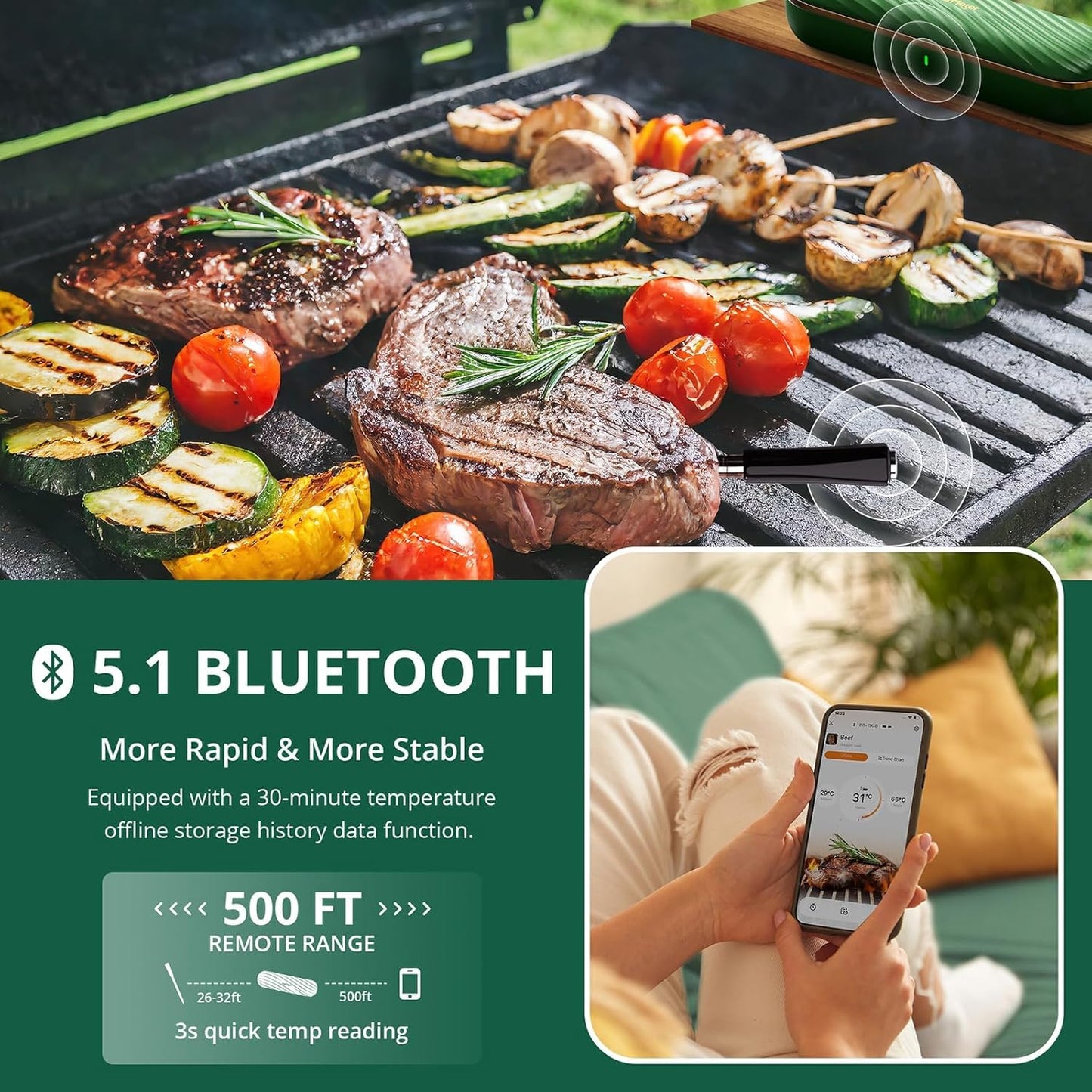 Termómetro digital inalámbrico Bluetooth para carne y asado