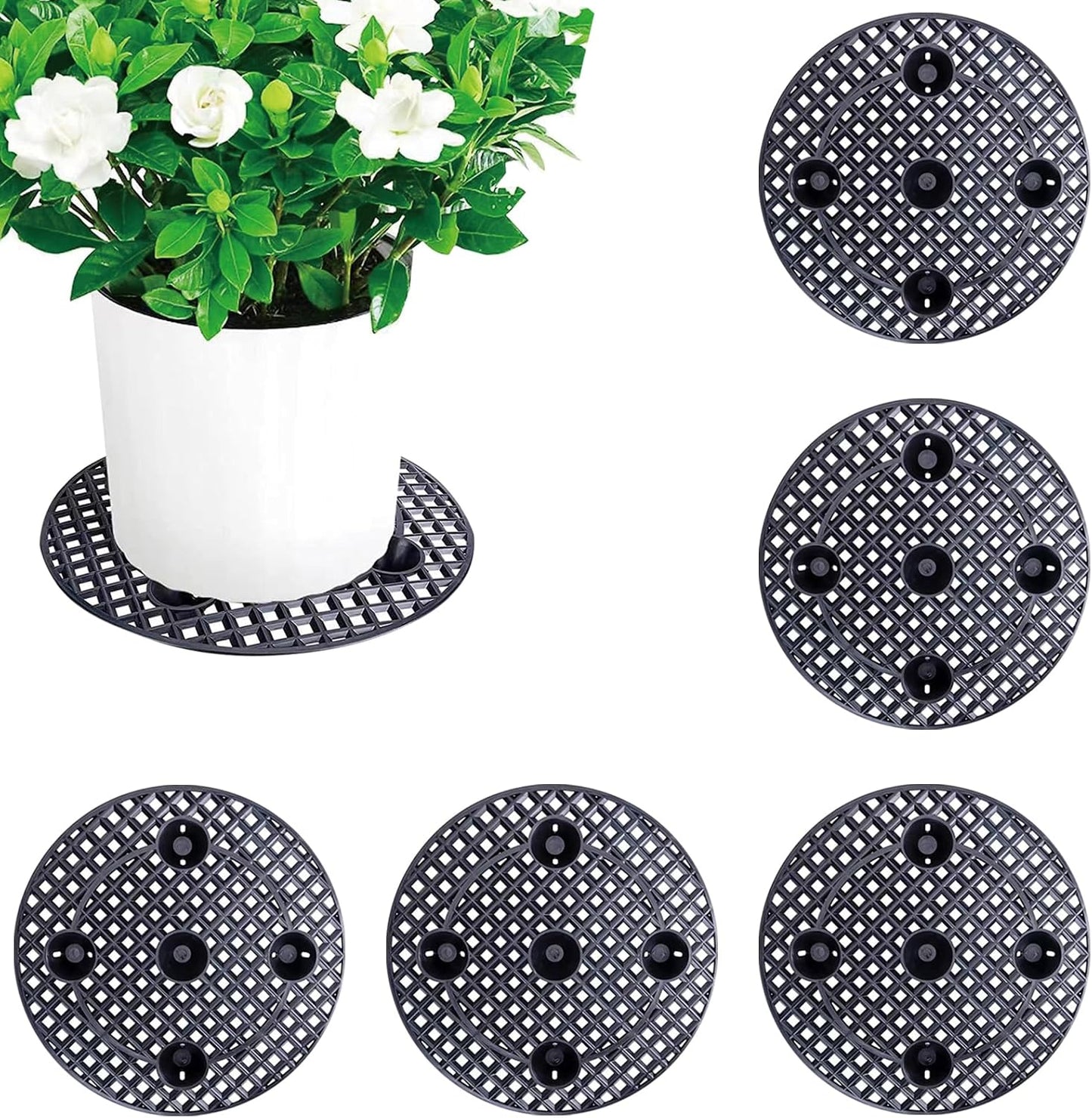 6 Soportes Plantas 12pulg Elevador Interior Exterior Jardín