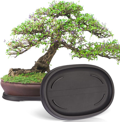 2 Pzas Bandeja Goteo Plástico para Bonsái y Plantas 12.7x8.3pulg