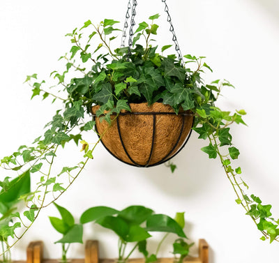 Cesta colgante para flores con cadena decorativa