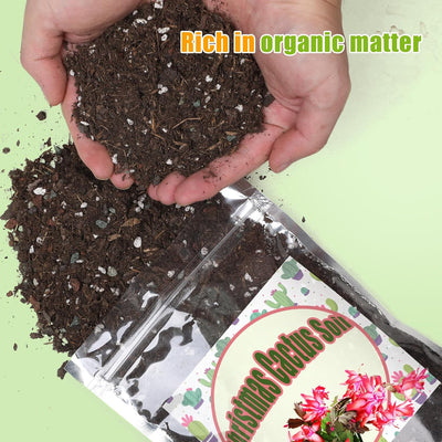 Tierra para macetas cactus Navidad 1qt suculentas