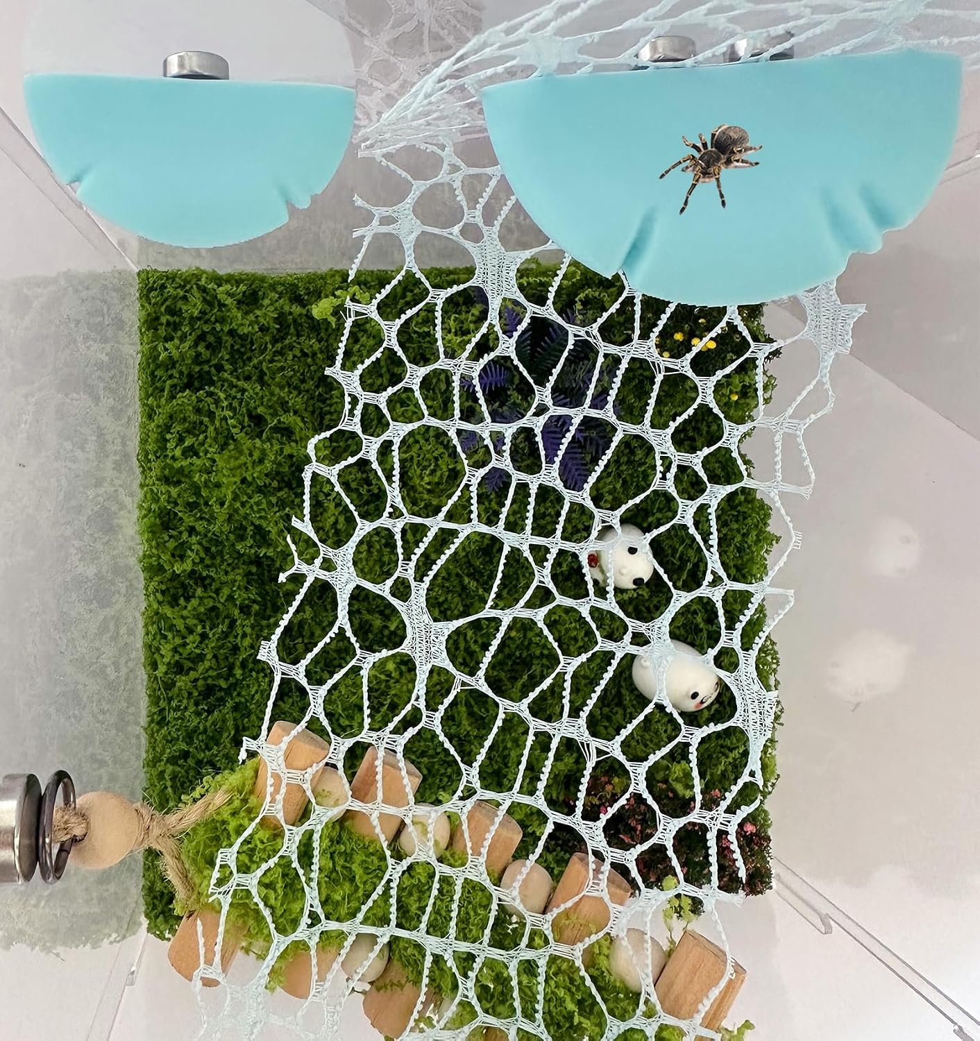 Accesorios hábitat araña estante magnético plataformas