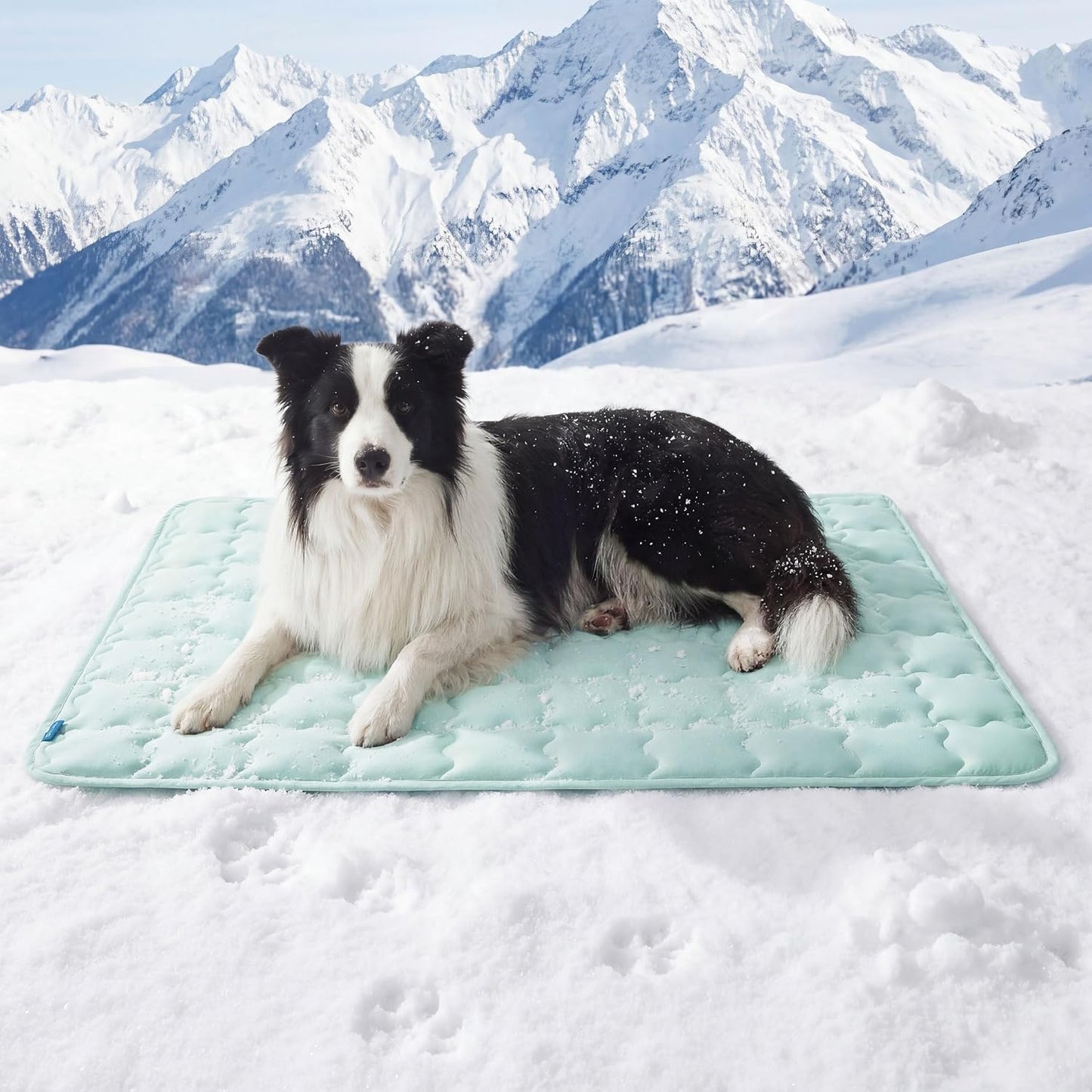 Tapete refrescante perro XL transpirable con tela calmante
