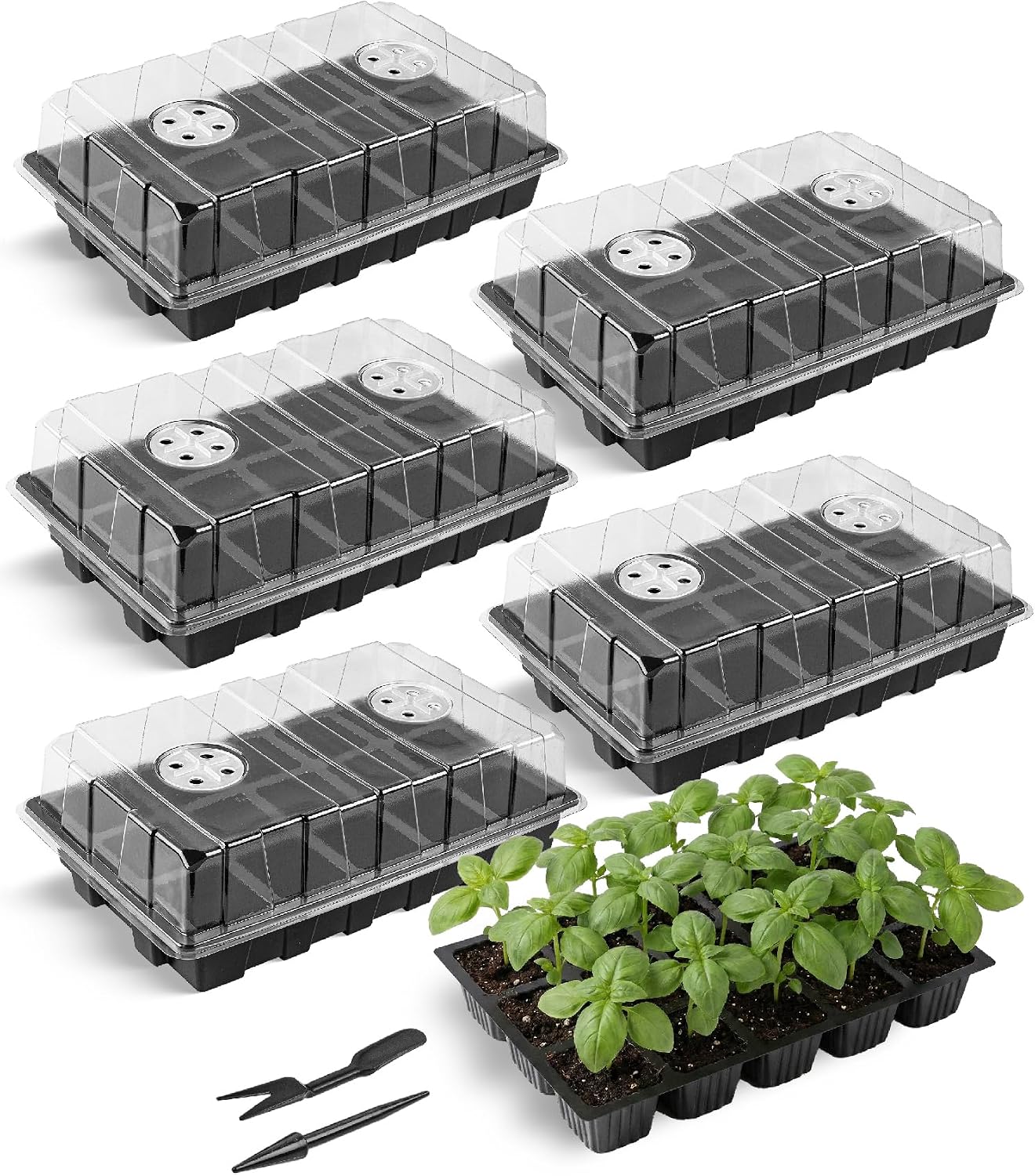 Set 5 bandejas germinación con cúpula y base ventilada
