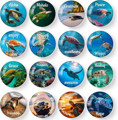 Imanes para nevera Sea Turtle paquete de 16 resina abovedada