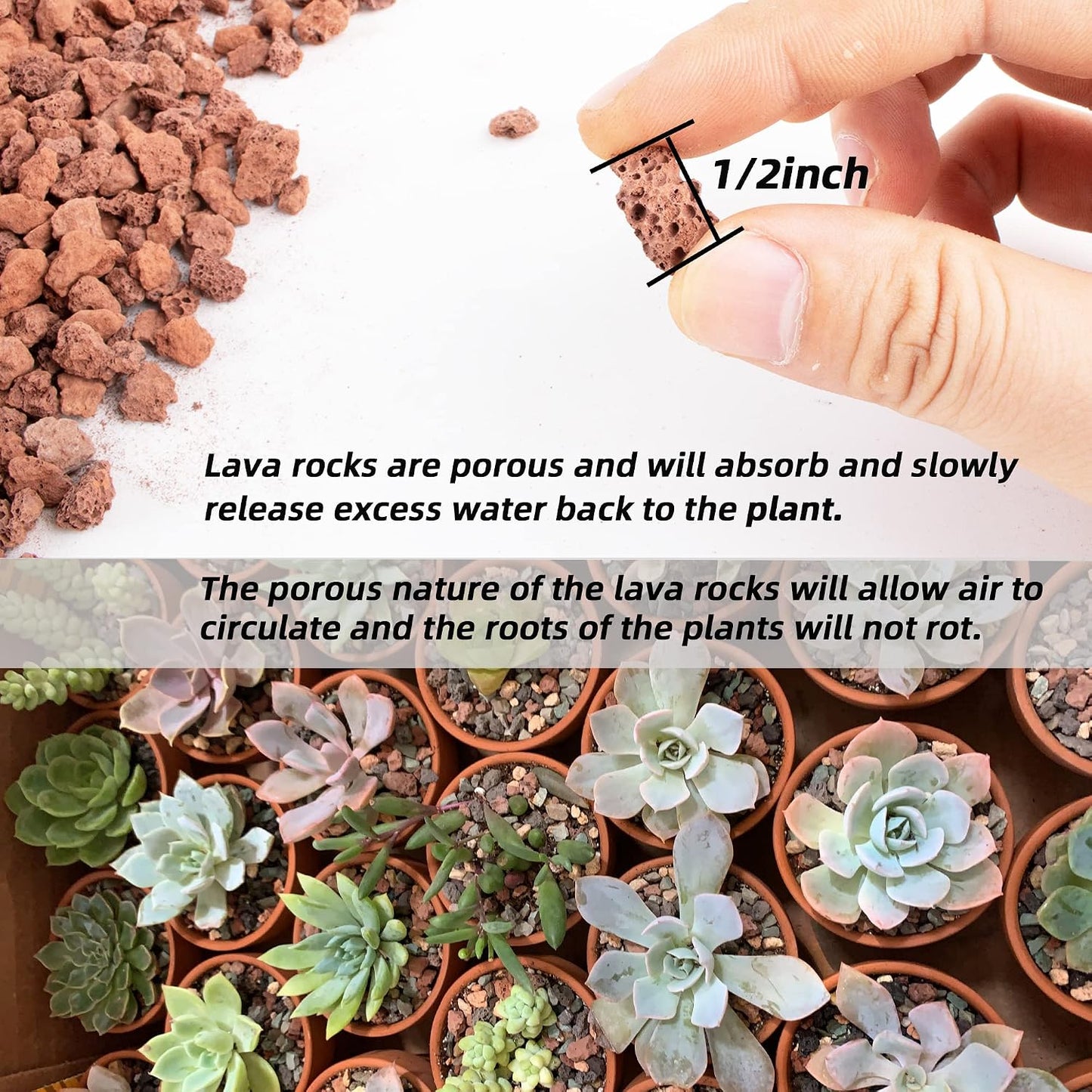 Rocas lava roja 1.5lb para cactus suculentas y bonsái