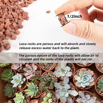 Granulos roca lava natural para bonsái cactus y terrarios 5lb