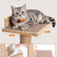 Árbol para gatos de 80pulg pared 5 niveles cama 15.7pulg