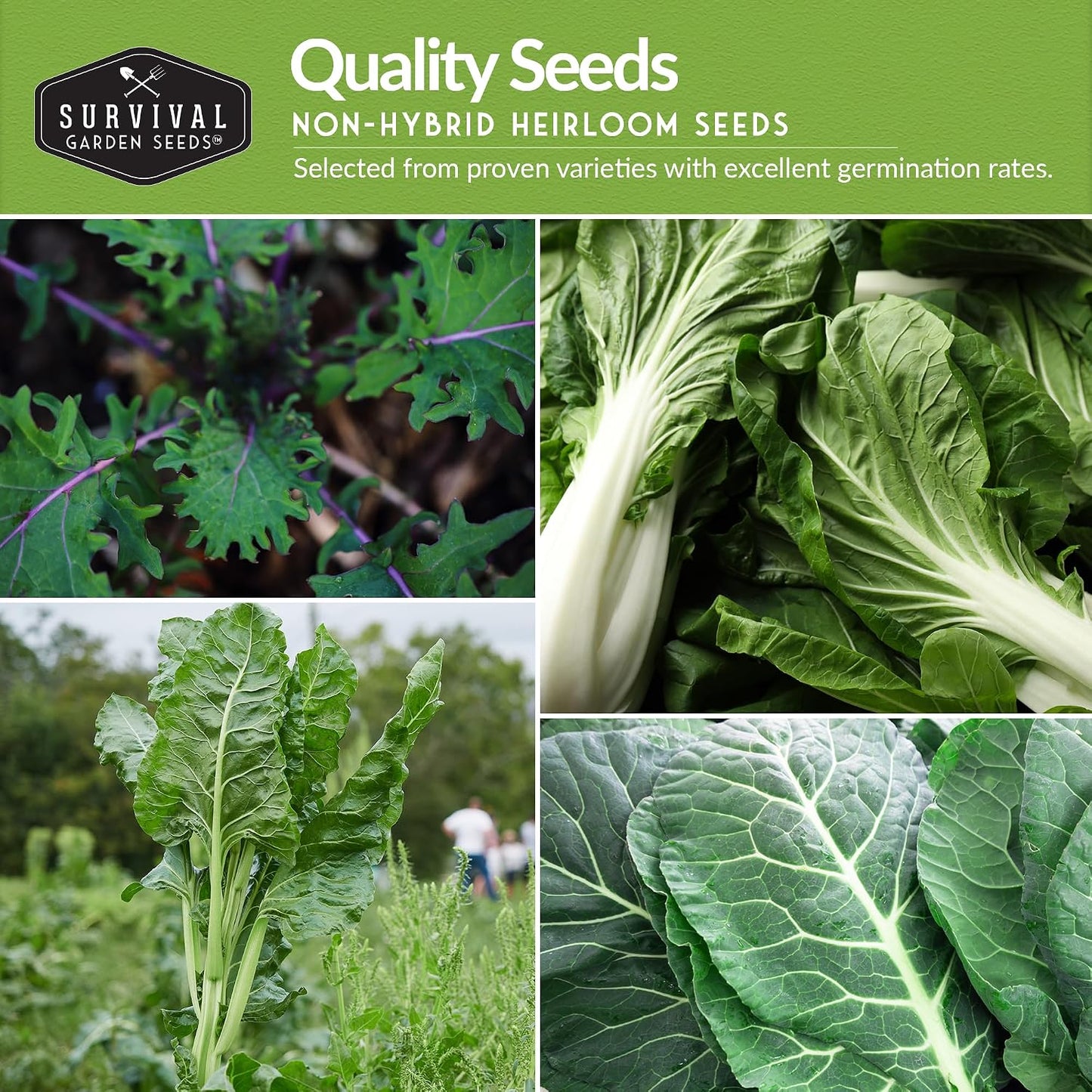 10 Semillas Verduras Power Greens Otoño Primavera
