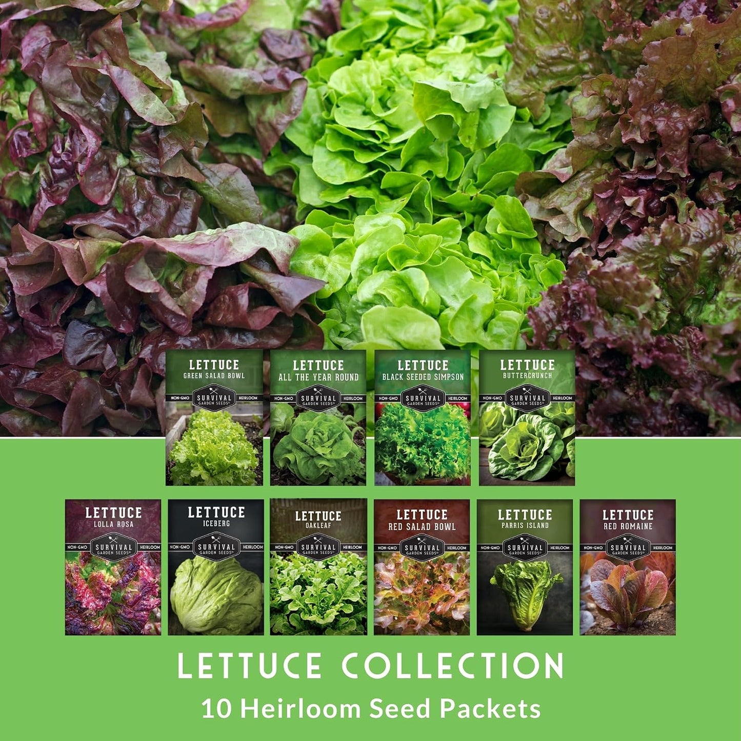 Semillas lechuga para plantar 10 variedades tradicionales