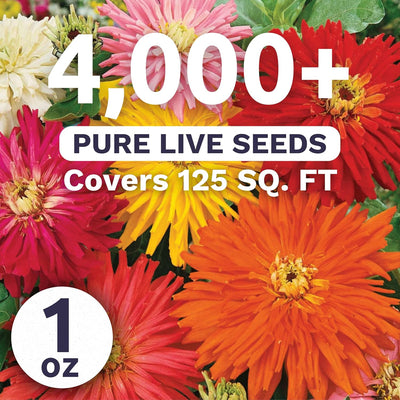 Paquete 1oz 4000 semillas Zinnia elegans