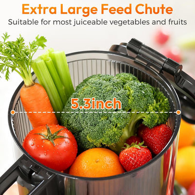 Exprimidor 3en1 con canal 5.3pulg para frutas y verduras