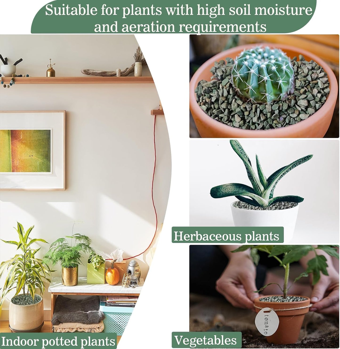 Rocas zeolita verde granel 47.44oz para suelo cactus