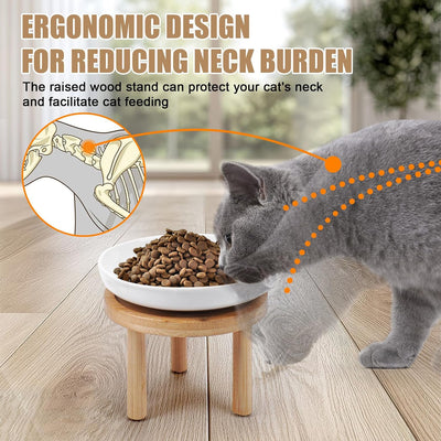 Cuencos elevados para gatos con soporte bambú 5.9pulg paquete 2