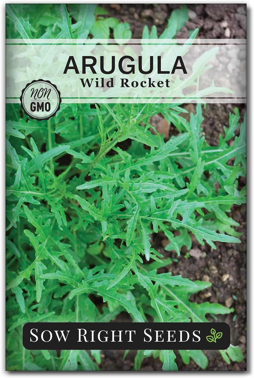 Semillas rúcula Wild Rocket para huerto casero