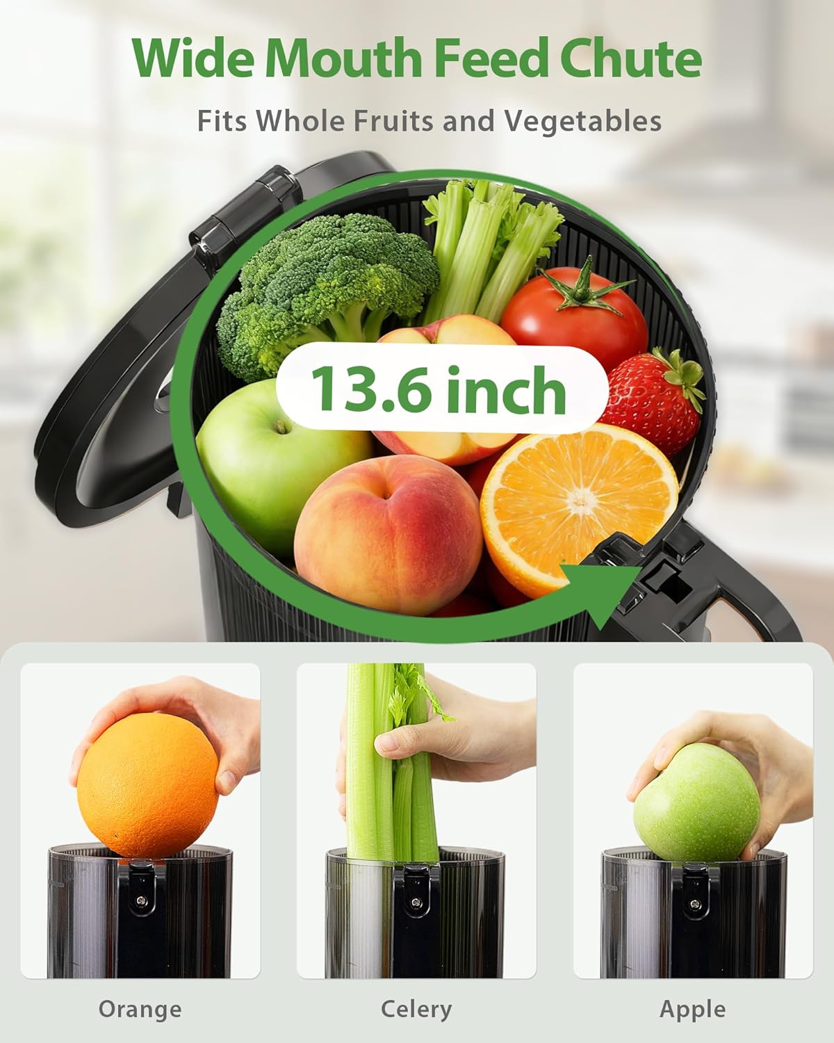 Extractor Jugos ECOSELF Bocana Ancha Autoalimentable