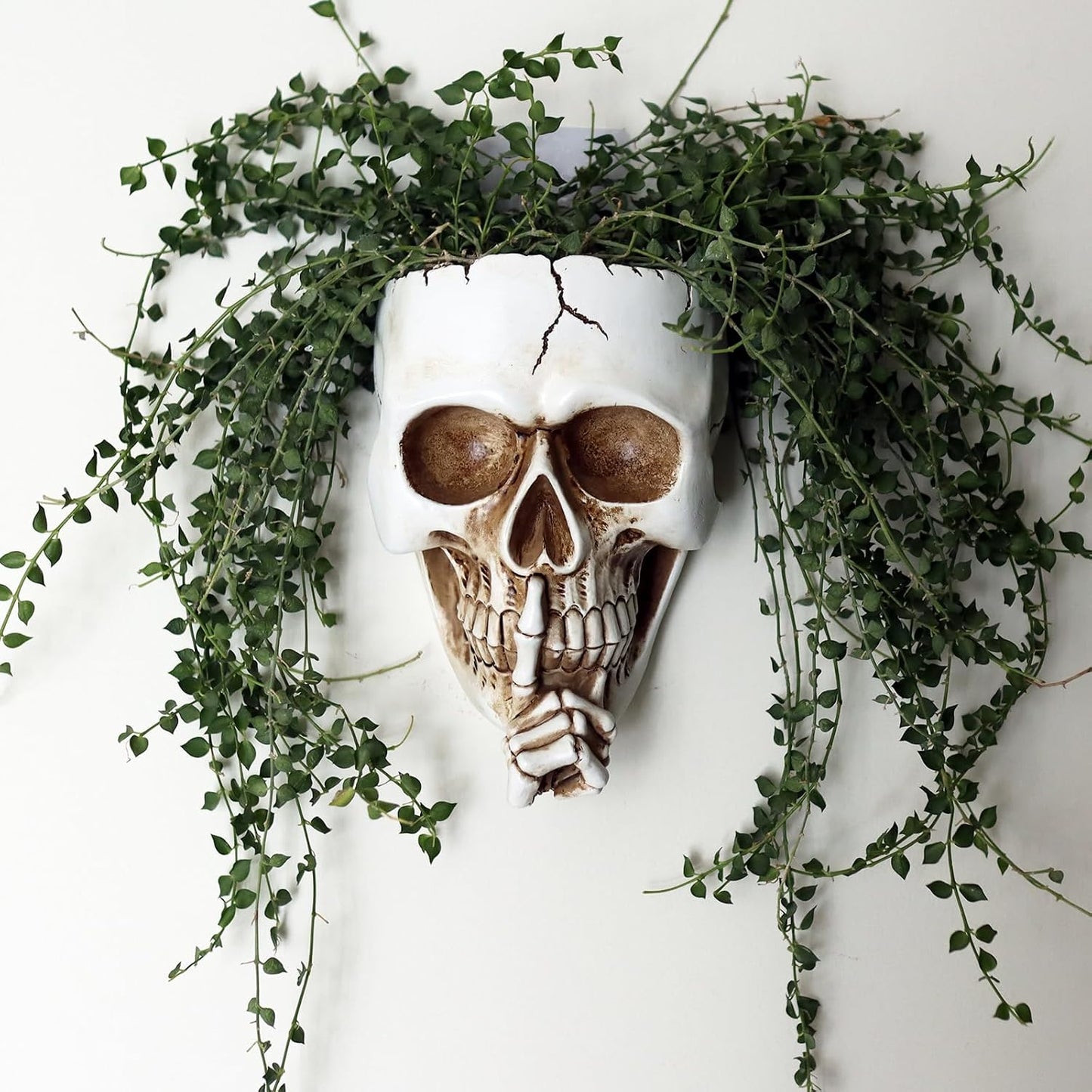 Maceta pared calavera para plantas colgante gótica