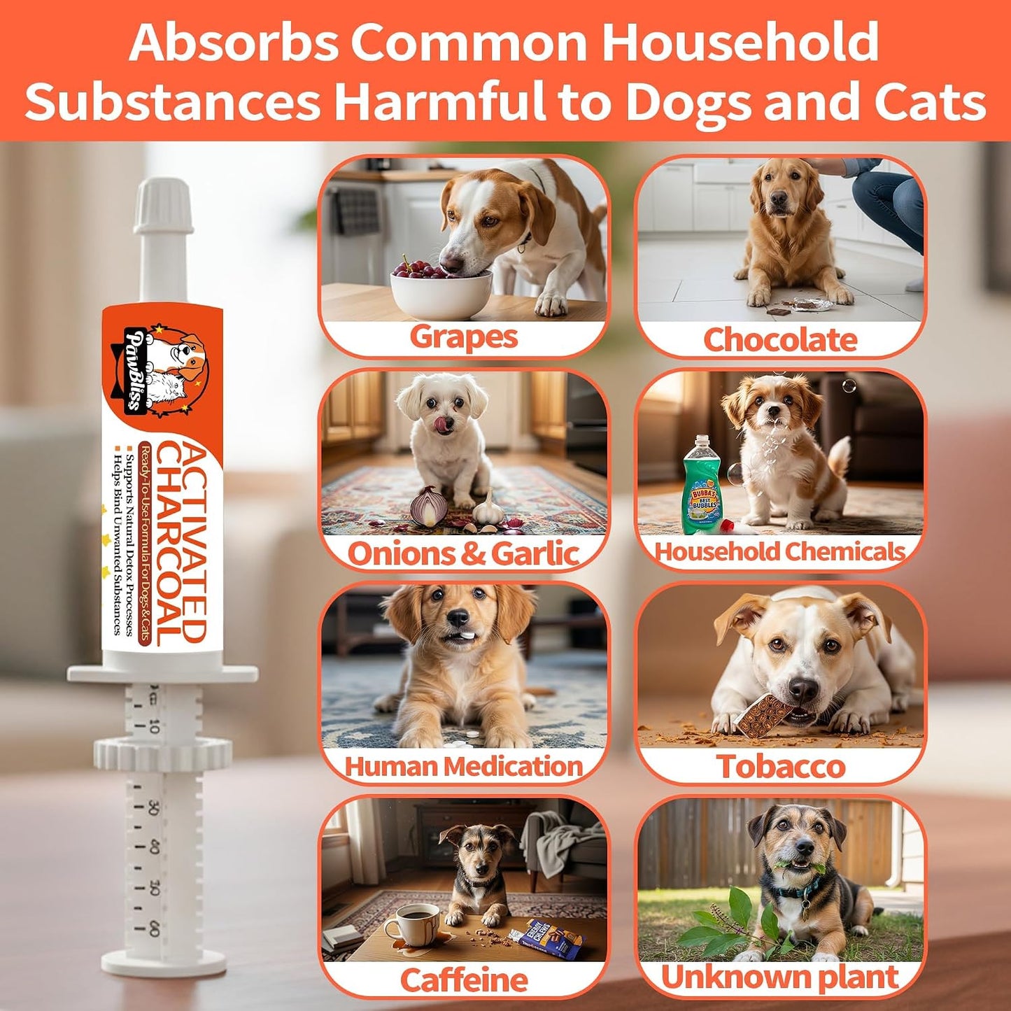 Kit carbón activado para perros gatos equilibrio digestivo