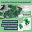 Fertilizante líquido para Monstera y Filodendro 8oz