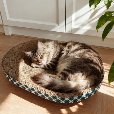 Cama rascador para gatos con juguetes y cuenco ovalado