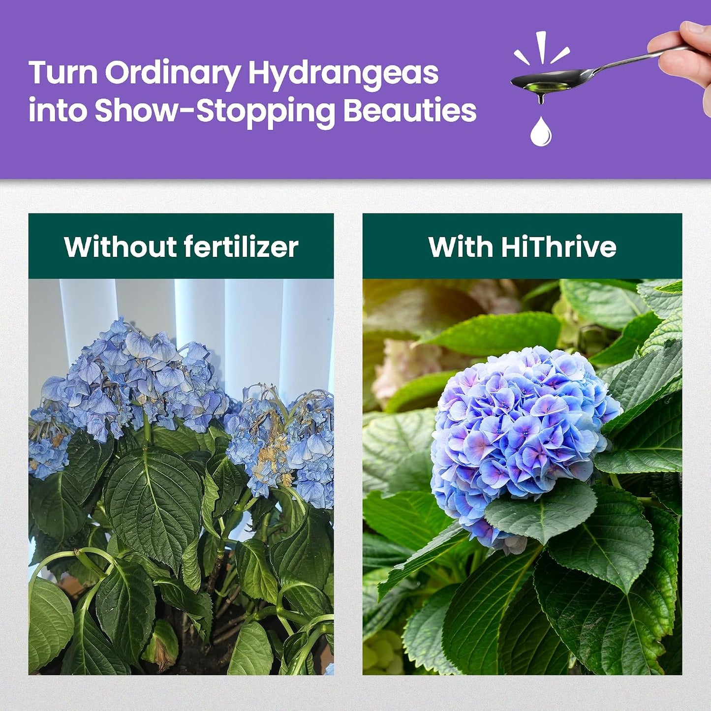 Fertilizante hortensias 32oz 32gal liquido para plantas interiores