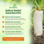 Semillas rábano Daikon 1oz para jardín y cultivo
