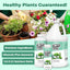 Fertilizante vegetal exterior 8oz
