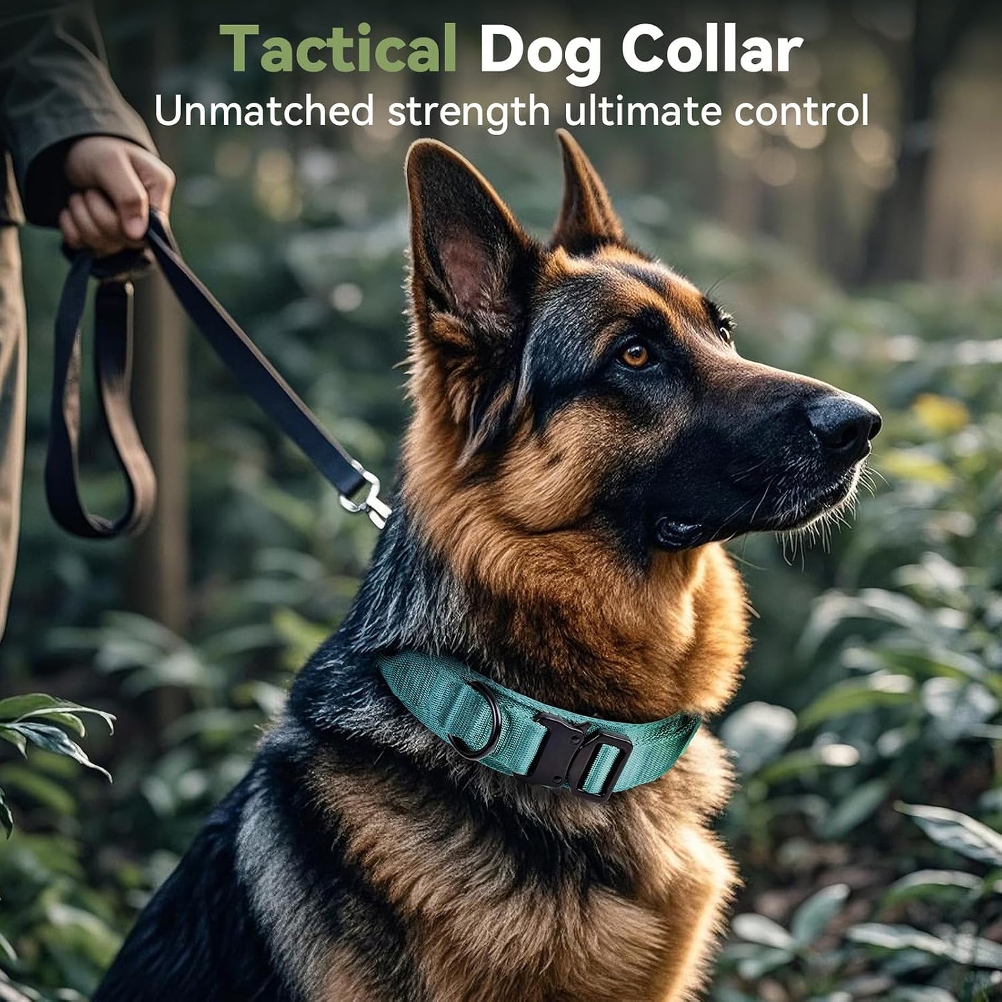 Collar perro militar ajustable con hebilla metal azul L