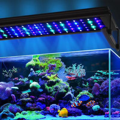 Luz LED acuario salado 72W para corales SPS/LPS 35-42pulg